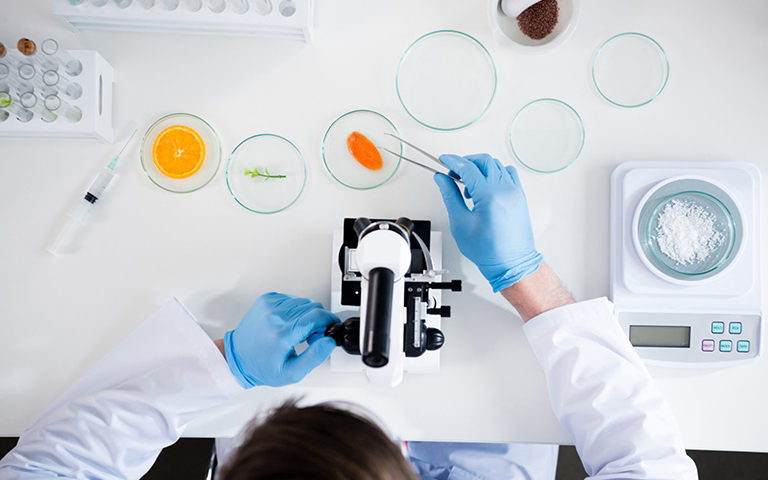 食品/保健食品檢測