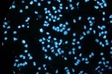 生物降解塑料檢測標準是什么樣