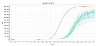 △Ct法測試保存液核酸保存效果