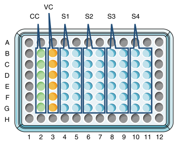 假病毒中和抗體血清孔板布局