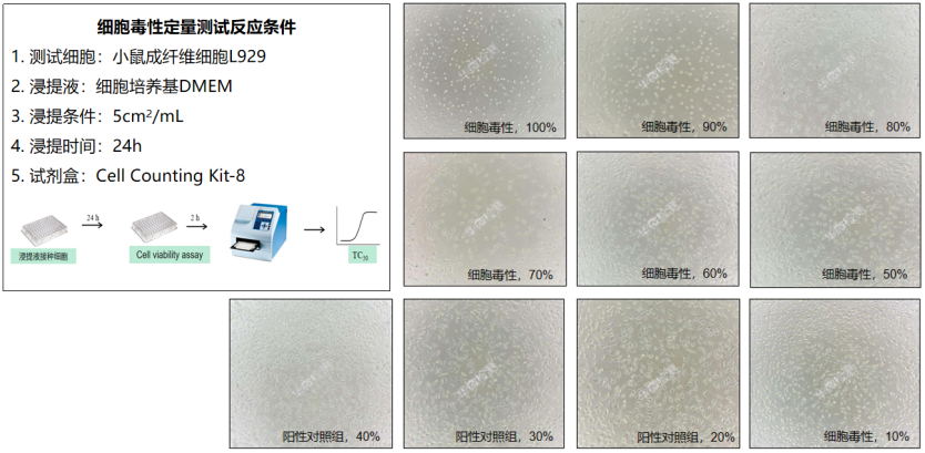 細胞毒性測試條件