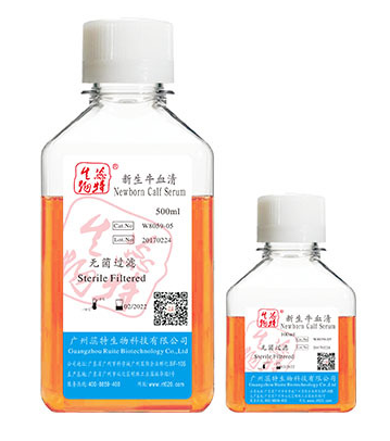 新生牛血清檢測