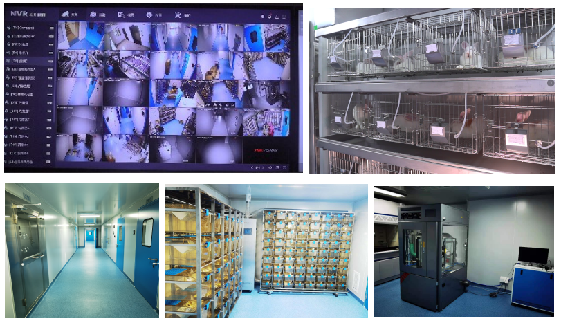 動(dòng)物實(shí)驗(yàn)中心