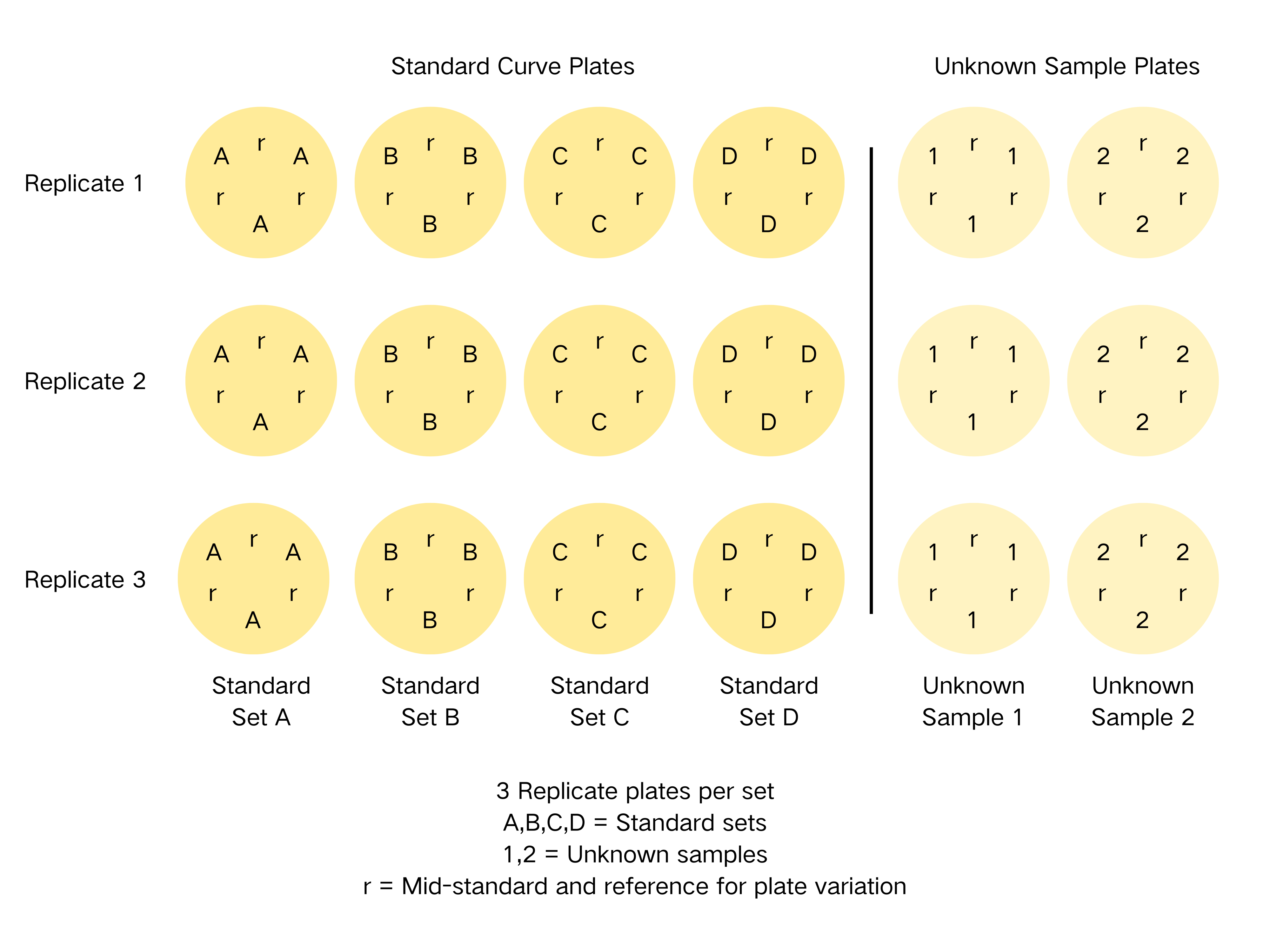 USP平皿試驗圖 (2)
